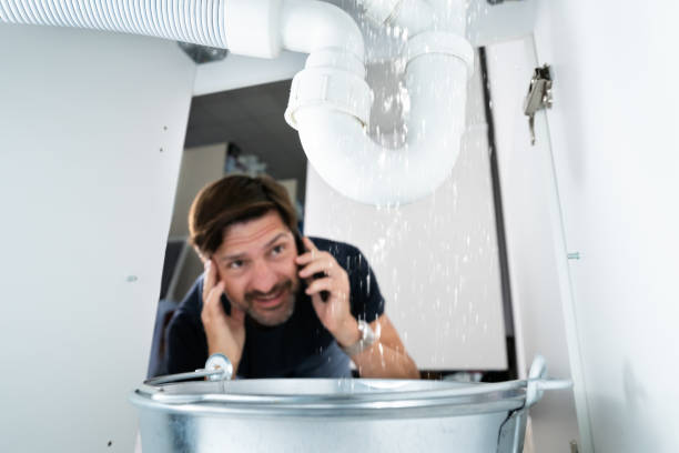 Best Best Plumbers Near Me  in Estill, SC