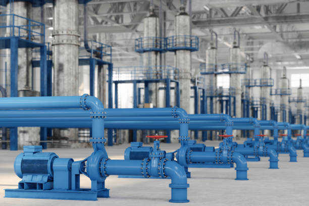 Best Local Plumber Services  in Estill, SC