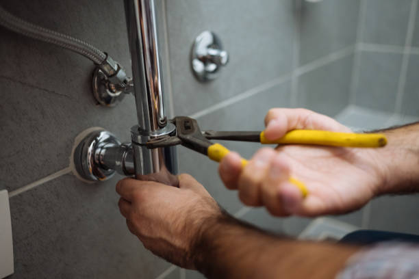 Best Commercial Plumbing Services  in Estill, SC